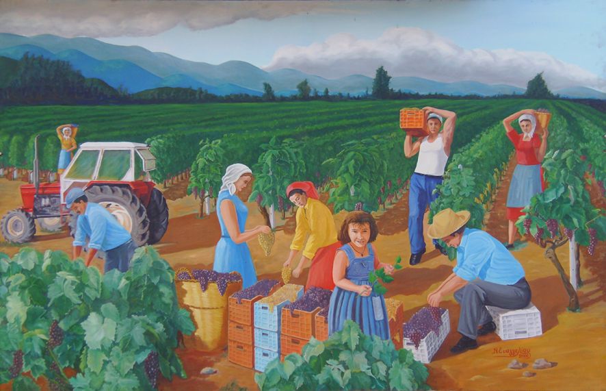 Ο Τρύγος στο Σχολείο μας 🍇
