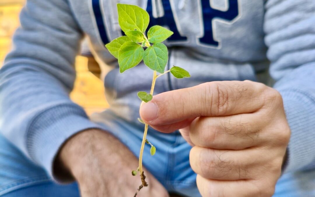 🌱 Πρώτο μάθημα περιβαλλοντικής στο Νηπιαγωγείο μας! 🌱