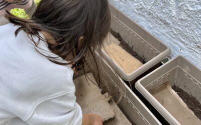 Περιβαλλοντική Αγωγή – Μαθαίνουμε μέσα από τη φύση 🌱